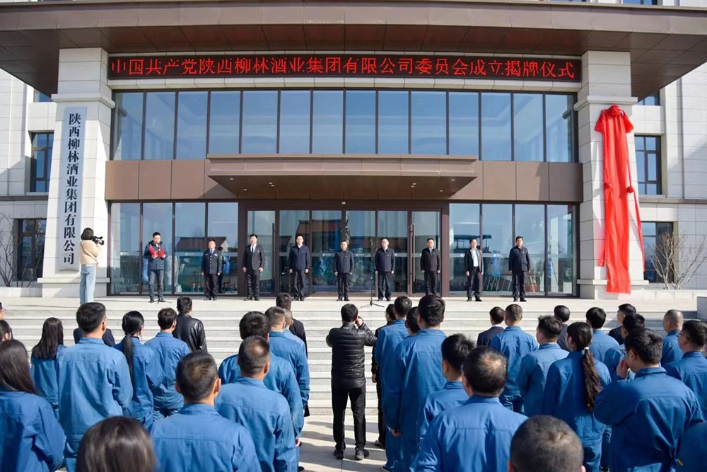 风劲帆满启新程 党建引领谱新篇 |中共开心体育app委员会成立